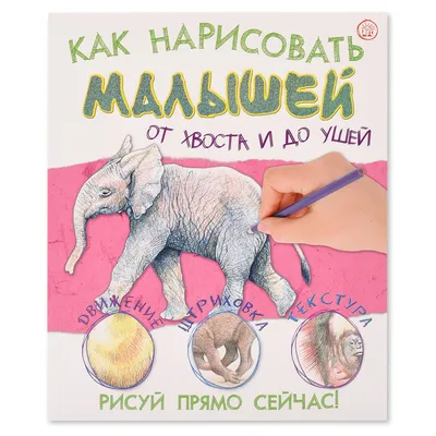 Книжка-раскраска «Я учусь рисовать знакомые продукты» для детей до 4 лет,  ступенька 1 купить онлайн | Вако