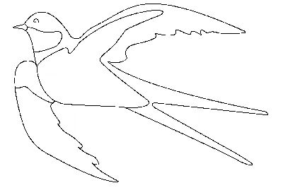 Как нарисовать перелетных птиц - 39 фото