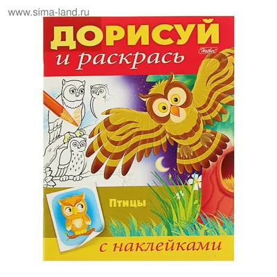 Книга Креативная Раскраска птицы С наклейками Kiddieart - купить книги для  развития мышления в интернет-магазинах, цены на Мегамаркет | 60411240 N