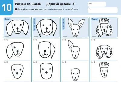 Как нарисовать кошку, собаку и корову: 6 пошаговых мастер-классов и шаблоны  для скачивания | МИФ. Детство | Дзен