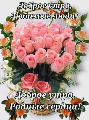 Родным и любимым людям - Доброе утро!!! 💋❤️🥰💐💝 | Красивые розы, Зимние  сцены, Доброе утро