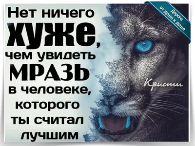 AnatolyKorneev on X: "Красивой ночи вам, Мои Друзья и просто Хорошие Люди!  А вот и "мудренка" на ночь глядя... /g7dYsLQT7W" / X