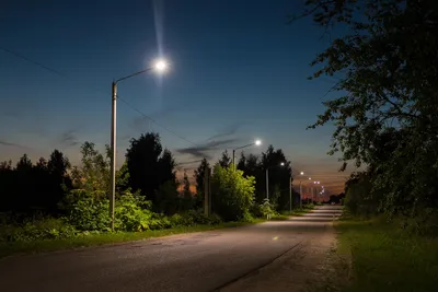 Дорога, манящая в даль. Фотограф Николай Сапронов