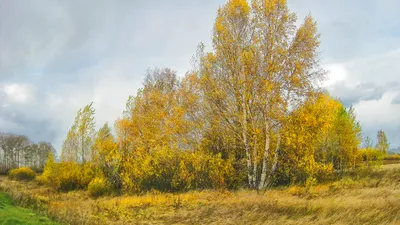 Love is: как российские и голливудские звезды отметили День святого  Валентина | HELLO! Russia