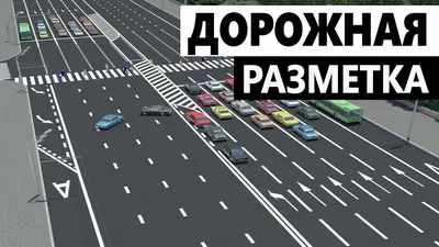 Горизонтальная и вертикальная дорожная разметка по ПДД 2022 года, ее  характеристики и приоритет