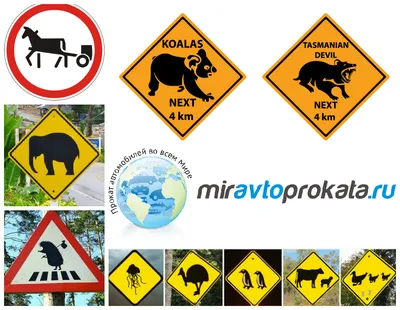 На Видземском шоссе начинают работать электронные дорожные знаки | Latvijas  ziņas - Новости Латвии