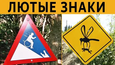 В Испании будут установлены новые дорожные знаки | Road 365