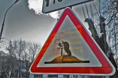 В РФ утвердили новые дорожные знаки и ограничения для электросамокатчиков