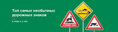 Все предупреждающие знаки дорожного движения в картинках с названиями и  пояснениями - Рамблер/авто