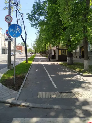 Дорожный Знак  Смежные Пешеходная и Велосипедная Дорожки