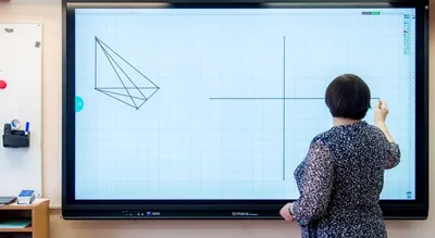 Почему в школах ставят именно зеленые доски? | Smapse