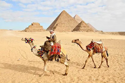 Фото и видео Египта в галерее tripmydream