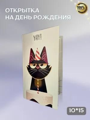 Очень довольный кот) Very pleased cat) | Кошки, Кот, Мемы