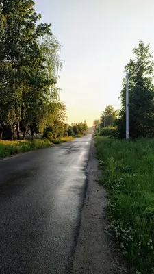 Солнце и дождь (Алекс Тимо) / Стихи.ру