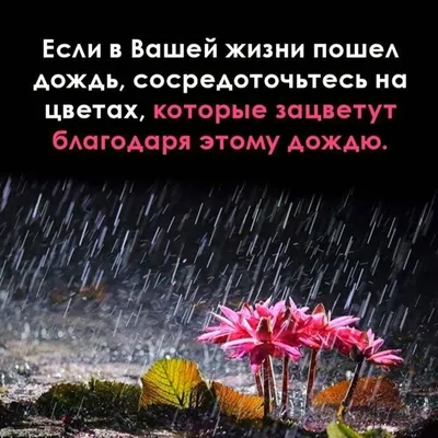 1,884 отметок «Нравится», 13 комментариев — Статусы Со смыслом (@citativk)  в Instagram: «Мы всегда стараемся для Вас. Поддержите нас… | Цитаты, Слова,  Мудрые цитаты