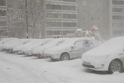 Снегопады и дождь со снегом. Рассказываем о погоде на Ямале в пятницу