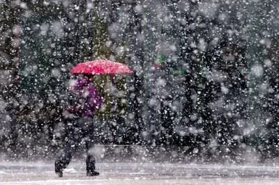 Дождь, снег с дождем и сильный ветер ожидаются в Приморье в среду