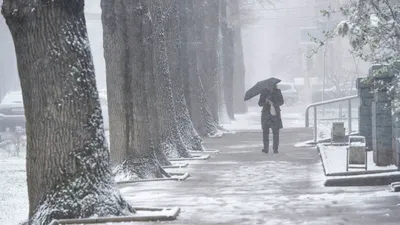 То дождь, то снег: непогода устроит в Приморье новое представление -  