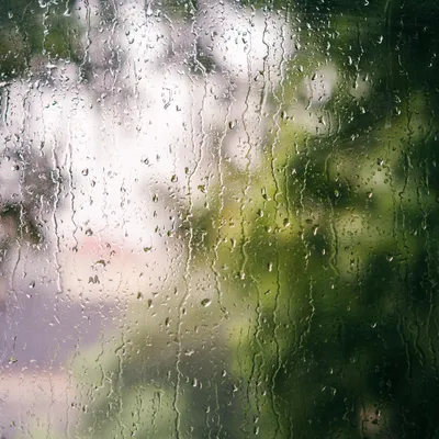 Дождь за окном - фото и картинки: 63 штук
