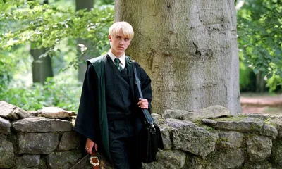 Драко Малфой ❤️ | Draco malfoy imagines, Harry potter draco malfoy, Draco  malfoy