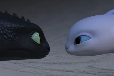 ᐉ Картина GeekLand How to train your dragon Беззубик () • Купить в  Киеве, Украине • Лучшая цена в Эпицентр