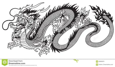 Черно-белый эскиз тату с изображением дракона | Realistic dragon, Dragon  drawing, Dragon tattoo