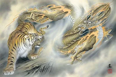 Тигр/Дракон, Рисунок - B. Bagira | Artmajeur