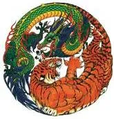 Идеи на тему «Тигр и дракон» (740) | тигр, большие кошки, японская  татуировка дракона