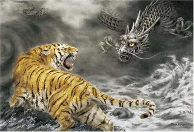 Купить временное Переводное тату "Дракон и Тигр"