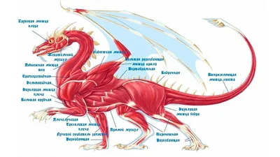 Волжский дракон и другие птерозавры Поволжья : ГеоСМИ