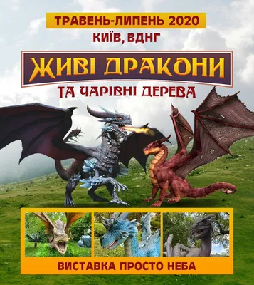 Смотреть мультфильм Дракони: Дев'ять світів / Дракони: Дев'ять королівств  онлайн в хорошем качестве 720p