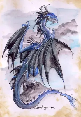 Рисуем дракона по шагам | Пикабу