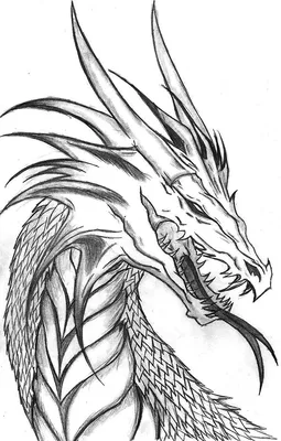 Картинки драконов для срисовки карандашом (36 лучших фото)
