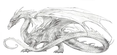Рисунки драконов для срисовки - 66 фото