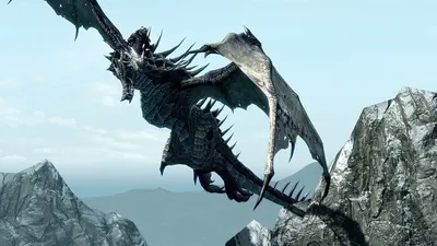 Драконы: классификация, гайды и прочее — Elder Scrolls V: Skyrim, The —  Игры — : социальная сеть для геймеров