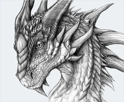 Превосходные рисунки драконов простым карандашом | Рисунки драконов,  Рисунки в ярких тонах, Рисовать глаза