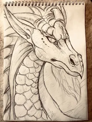 Дракон,рисунок карандашом. | Эскиз дракона, Рисунок карандашом, Рисовать
