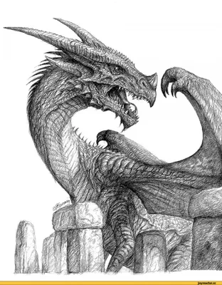 Как нарисовать дракона — символ 2024 года - Лайфхакер