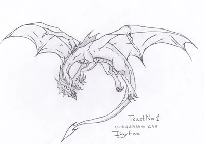 Варианты рисунков драконов | Пикабу