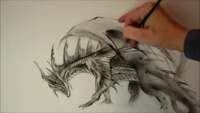 Дракон карандашом для срисовки - 71 фото