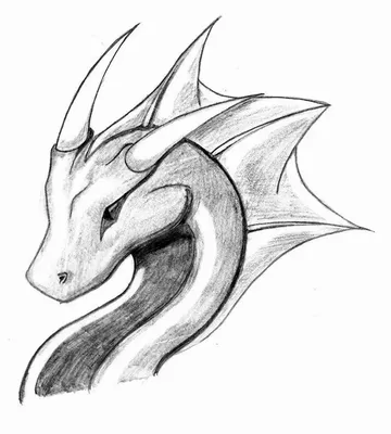 Превосходные рисунки драконов простым карандашом | Dragon tattoo vector,  Dragon drawing, Dragon tattoo