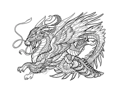 Раскраски с Драконами на Новый год 2024: скачай бесплатно! | Dragon  coloring page, Adult coloring pages, Cat coloring page