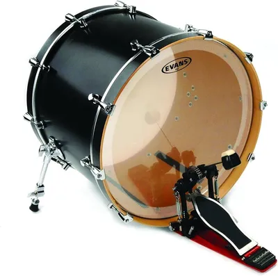 File:Drumhead Coated on Bass  - Wikipedia