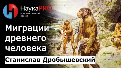 Древний человек попал в Арктику 25 тысяч лет назад, заявил археолог - РИА  Новости, 