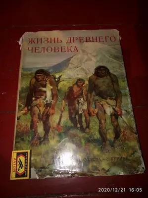 Стоянку древнего человека обнаружили в селе под Петрозаводском | СТОЛИЦА на  Онего