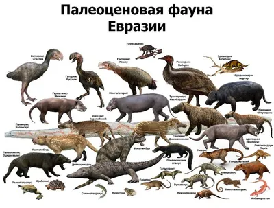 Pin de повелители ночи en Древние животные | Animales extintos, Animales  prehistóricos, Imagenes de animales