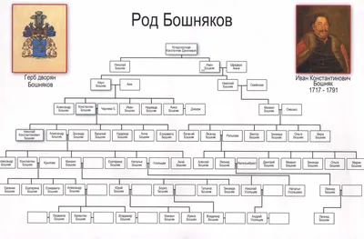 Плетение родового дерева - Уникальный курс Любови Ра «РодоДар»