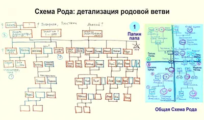 Генеалогическое древо шаблон (вектор) — 