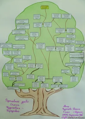 Родословное древо семьи Кузнецовых – Бараусовых | Кижская галерея: фото и  видео — виды острова, люди, события | Музей-заповедник «Кижи»