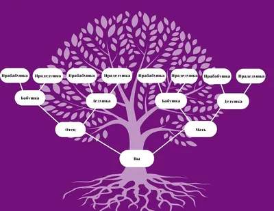 Как составить генеалогическое древо семьи самостоятельно
